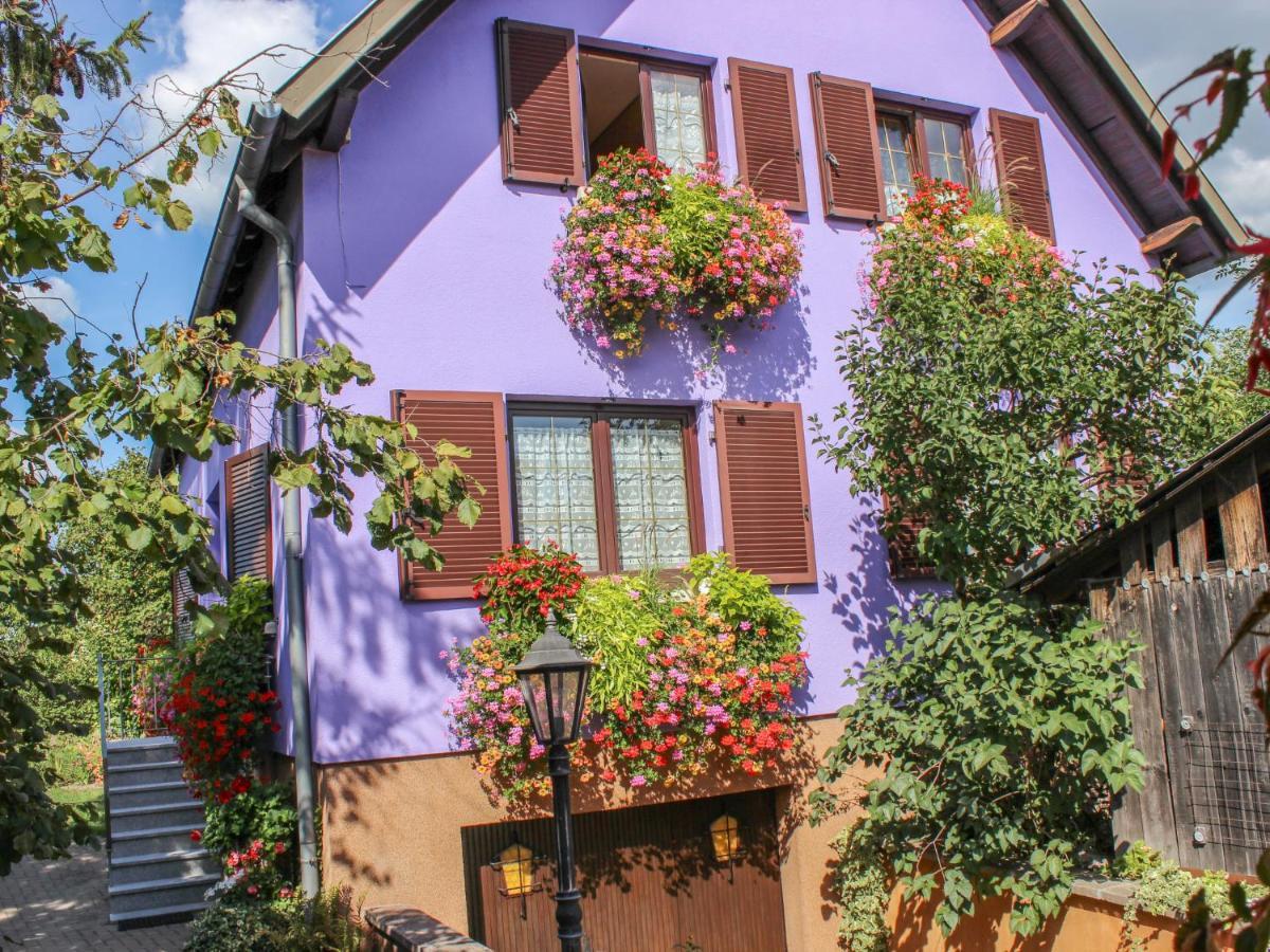 Jaune Et Rose-4 By Interhome Marckolsheim